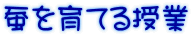 蚕を育てる授業