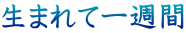 生まれて一週間