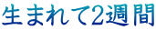 生まれて2週間
