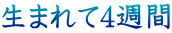 生まれて4週間